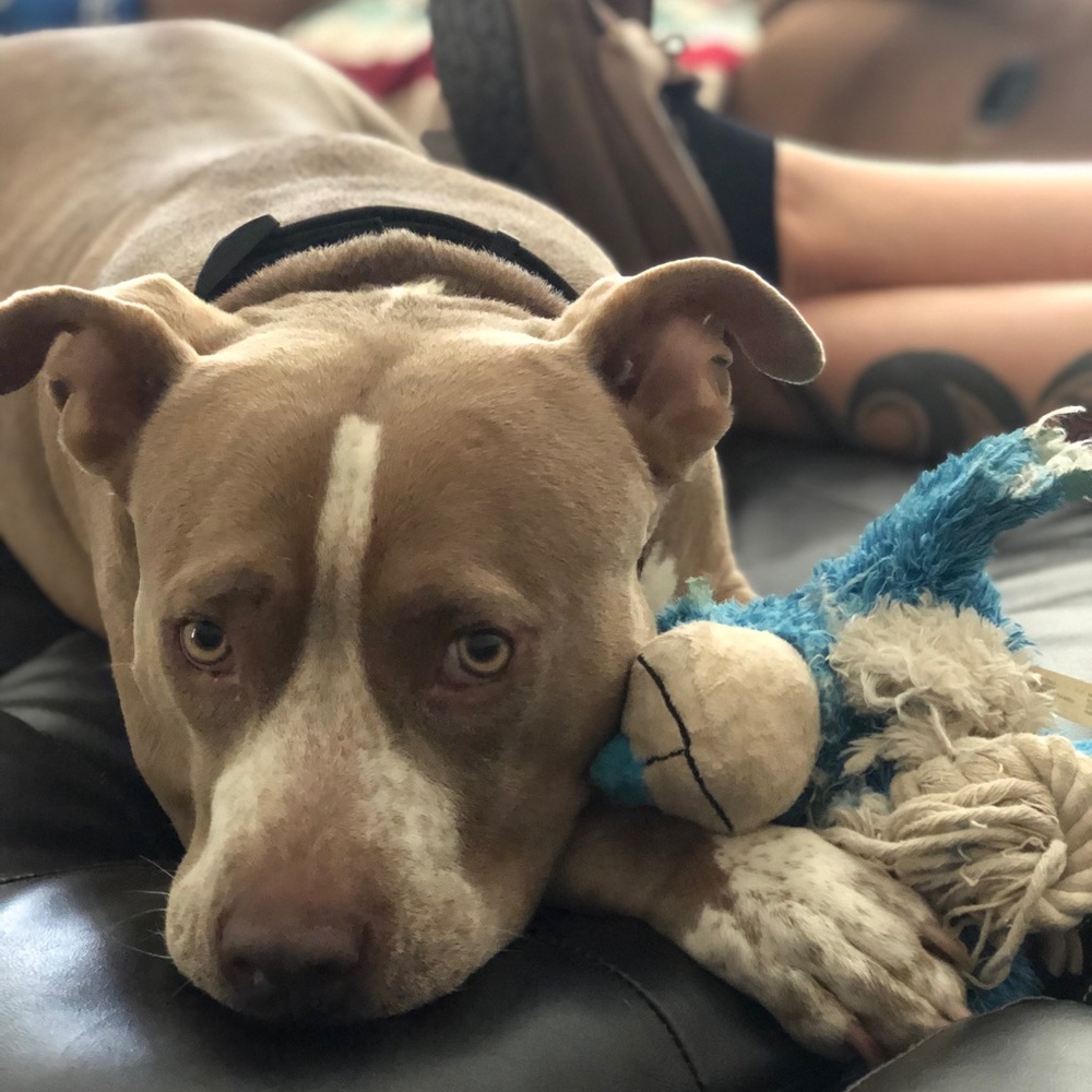 Meet your Posher, Amanda